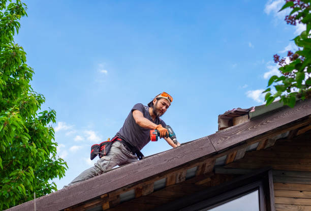 Best Roof Leak Repair  in Tuscoosa, AL