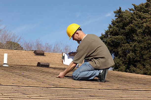 Best Roof Ventilation Installation  in Tuscoosa, AL