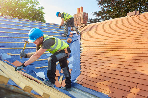 Fast & Reliable Emergency Roof Repairs in Tuscaloosa, AL